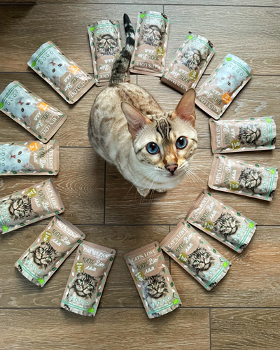 Cat stands on the floor and looks up, Bio Pouches are distributed around it